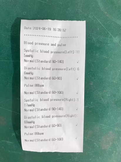 Preço de fábrica OEM Tensiometro Médico Braço Superior Digital Monitor de Pressão Arterial CE ISO Aprovado Máquina Bp